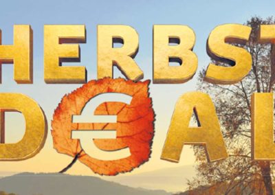 Motor Company Toyota Abverkaufsanzeigen (1/1 Seite)